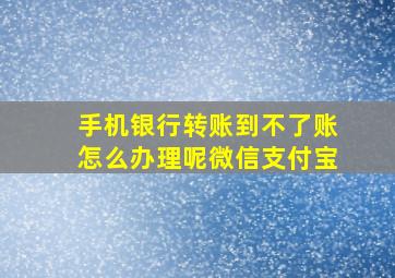 手机银行转账到不了账怎么办理呢微信支付宝