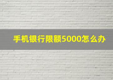 手机银行限额5000怎么办