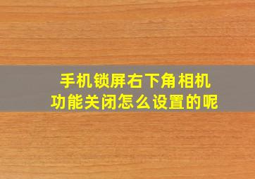 手机锁屏右下角相机功能关闭怎么设置的呢