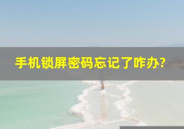 手机锁屏密码忘记了咋办?