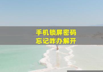 手机锁屏密码忘记咋办解开