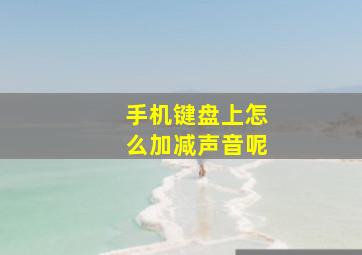 手机键盘上怎么加减声音呢