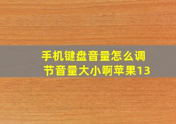 手机键盘音量怎么调节音量大小啊苹果13