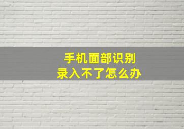 手机面部识别录入不了怎么办