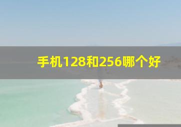 手机128和256哪个好