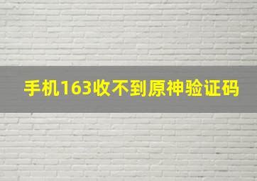 手机163收不到原神验证码