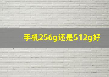 手机256g还是512g好