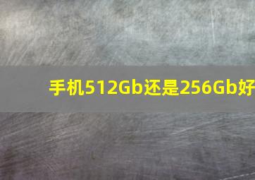 手机512Gb还是256Gb好