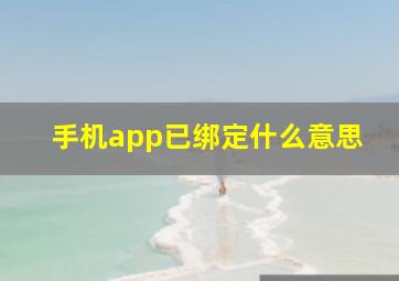 手机app已绑定什么意思