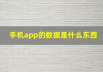 手机app的数据是什么东西