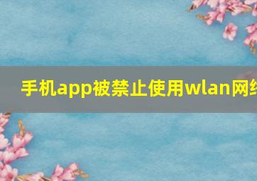 手机app被禁止使用wlan网络