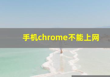 手机chrome不能上网