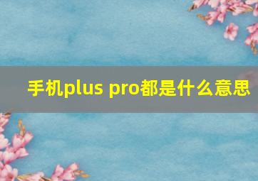 手机plus pro都是什么意思