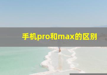 手机pro和max的区别