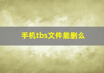 手机tbs文件能删么