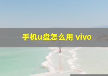 手机u盘怎么用 vivo