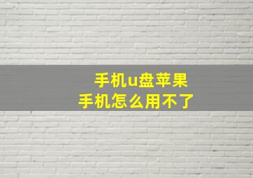 手机u盘苹果手机怎么用不了