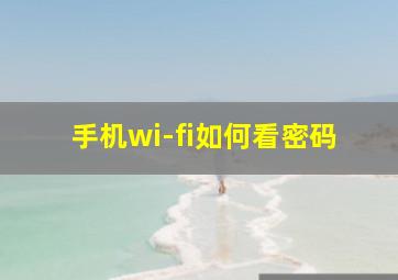 手机wi-fi如何看密码