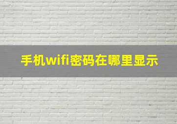 手机wifi密码在哪里显示