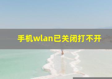 手机wlan已关闭打不开