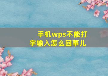 手机wps不能打字输入怎么回事儿