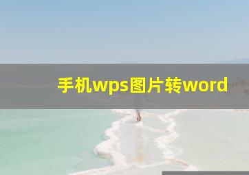 手机wps图片转word