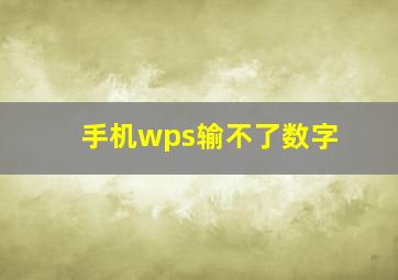 手机wps输不了数字