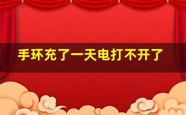 手环充了一天电打不开了