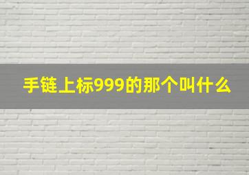 手链上标999的那个叫什么