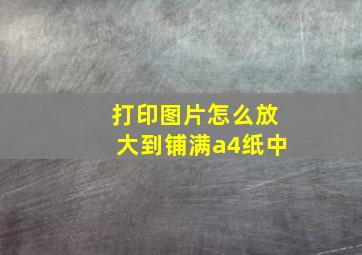 打印图片怎么放大到铺满a4纸中