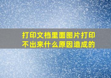 打印文档里面图片打印不出来什么原因造成的