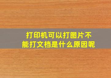 打印机可以打图片不能打文档是什么原因呢