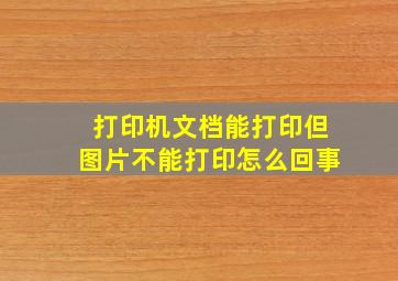 打印机文档能打印但图片不能打印怎么回事