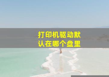 打印机驱动默认在哪个盘里