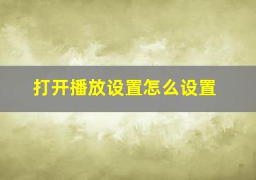 打开播放设置怎么设置