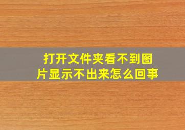 打开文件夹看不到图片显示不出来怎么回事