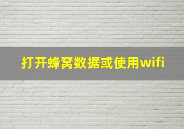 打开蜂窝数据或使用wifi