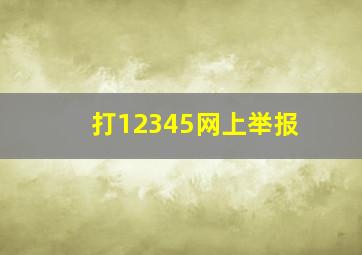 打12345网上举报