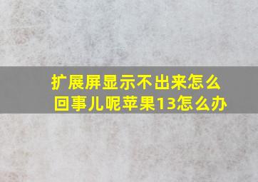 扩展屏显示不出来怎么回事儿呢苹果13怎么办