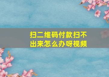 扫二维码付款扫不出来怎么办呀视频