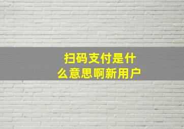 扫码支付是什么意思啊新用户