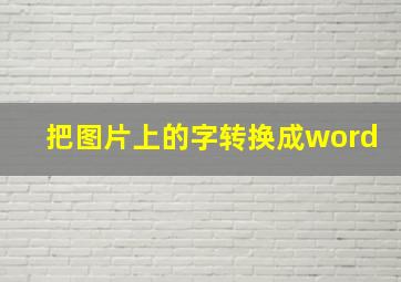 把图片上的字转换成word