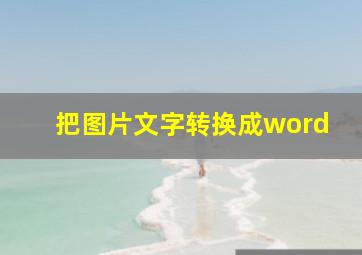 把图片文字转换成word