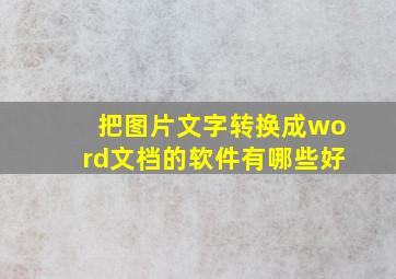 把图片文字转换成word文档的软件有哪些好