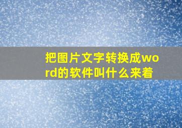 把图片文字转换成word的软件叫什么来着