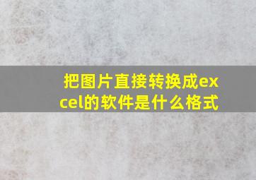 把图片直接转换成excel的软件是什么格式