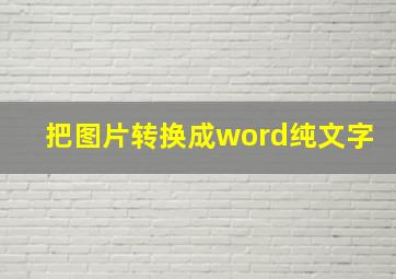 把图片转换成word纯文字