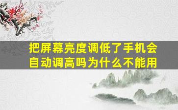 把屏幕亮度调低了手机会自动调高吗为什么不能用