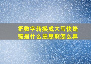 把数字转换成大写快捷键是什么意思啊怎么弄