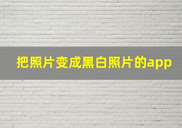 把照片变成黑白照片的app